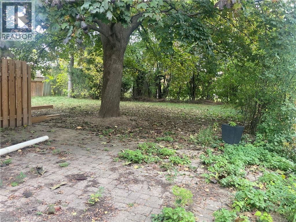 160 Bruce Street Unit# Main, Kitchener, Ontario  N2B 1Z3 - Photo 12 - 40787133