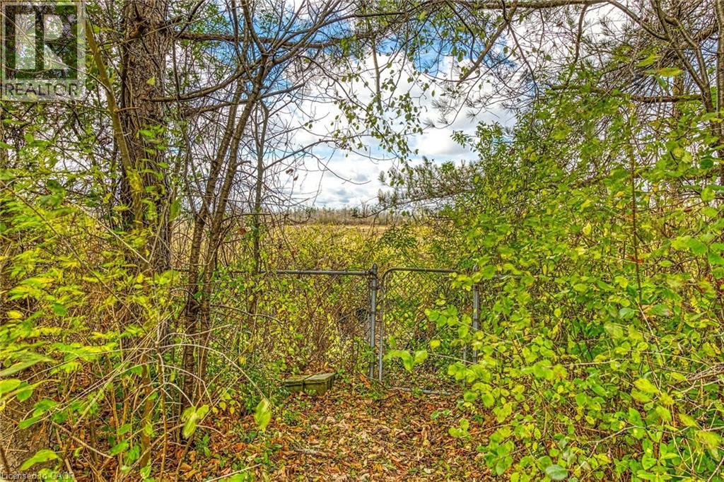 1413 Edgewood Road, Hamilton, Ontario  L8N 2Z7 - Photo 40 - 40787068