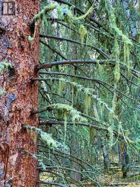 4 Wintergreen Way, Rural Rocky View County, Alberta  T0L 0K0 - Photo 15 - A2260408