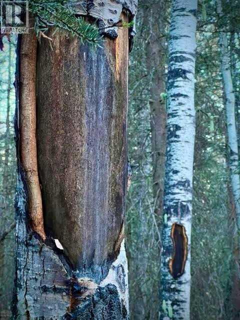 4 Wintergreen Way, Rural Rocky View County, Alberta  T0L 0K0 - Photo 18 - A2260408
