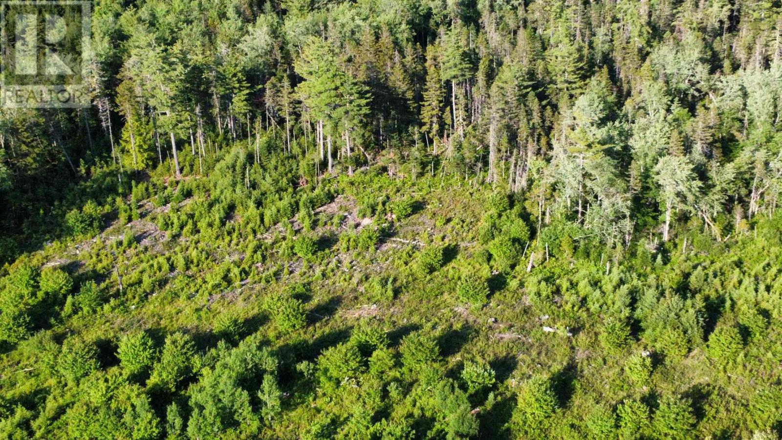 Lot 2 Albany New Road, Albany New, Nova Scotia  B0T 1B0 - Photo 3 - 202524179