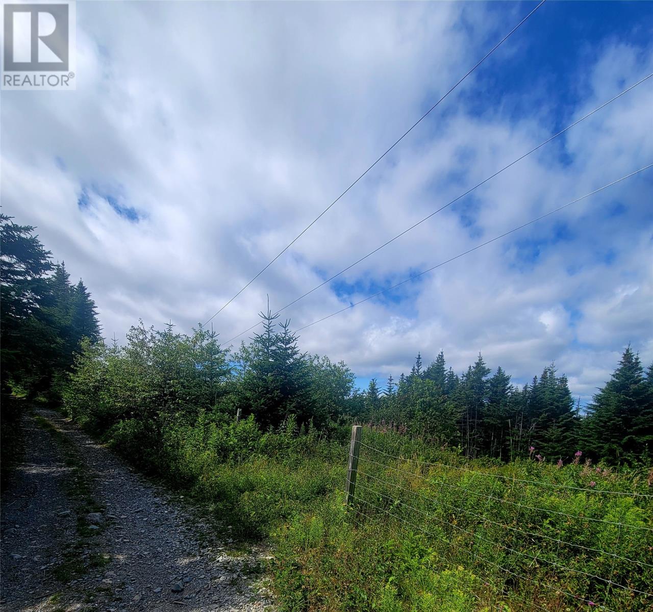 38 Cathill Road, Bay Roberts, Newfoundland & Labrador  A0A 1G0 - Photo 2 - 1292464