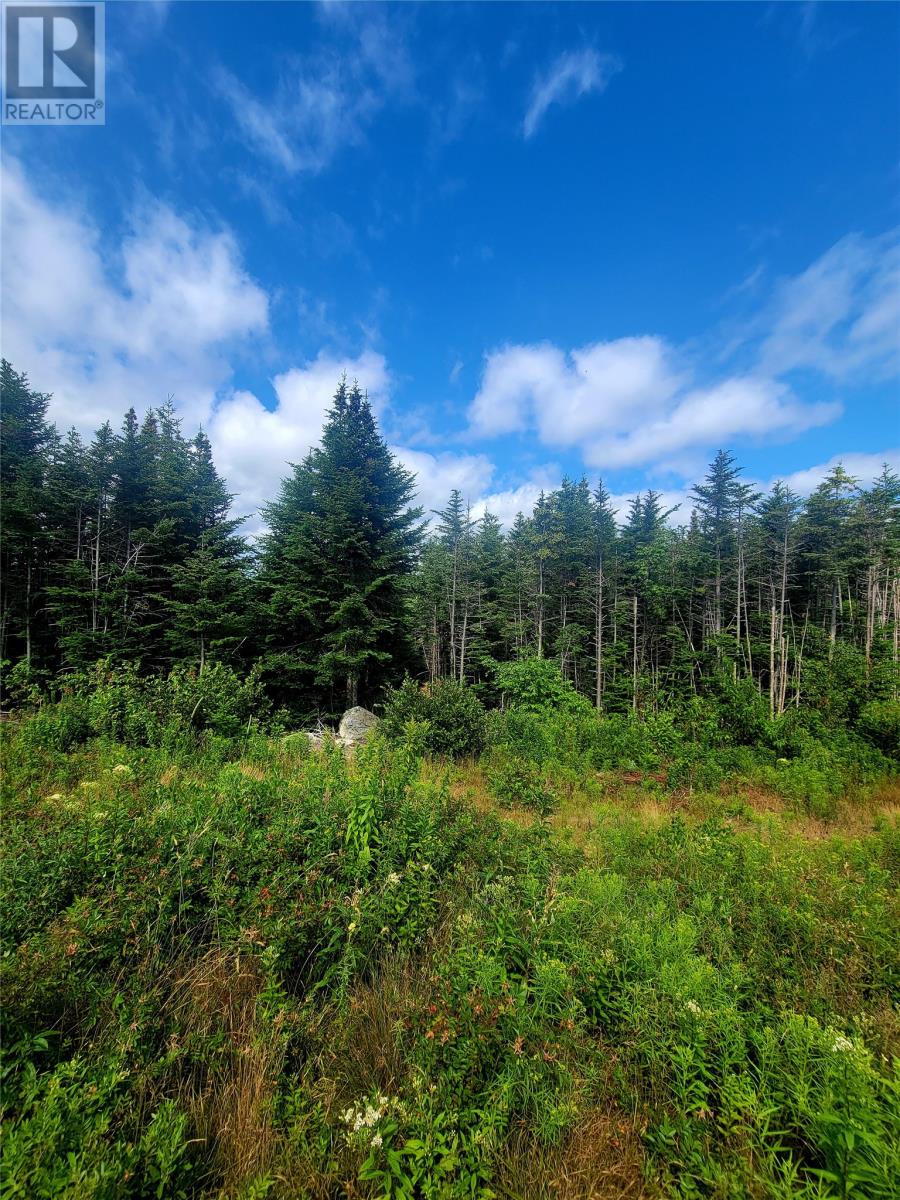 38 Cathill Road, Bay Roberts, Newfoundland & Labrador  A0A 1G0 - Photo 3 - 1292464