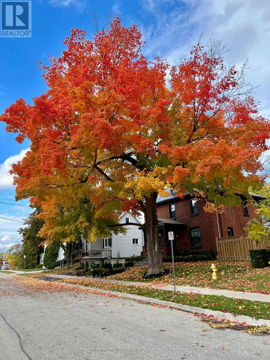 93 Concession Street, Newmarket, Ontario  L3Y 3W4 - Photo 37 - N12529152