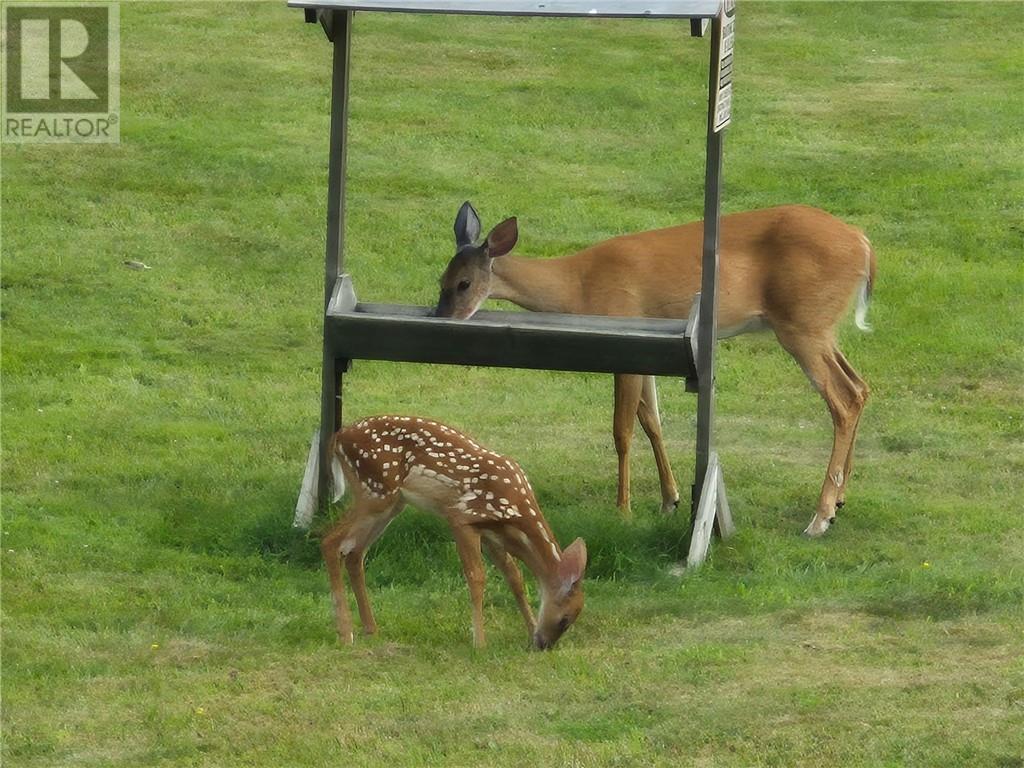1491 Grassy Lake Road, Sudbury, Ontario  P0M 3E0 - Photo 10 - 2125572