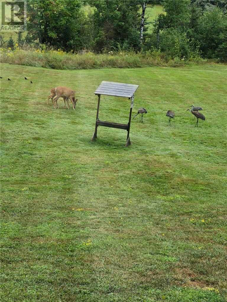 1491 Grassy Lake Road, Sudbury, Ontario  P0M 3E0 - Photo 9 - 2125572