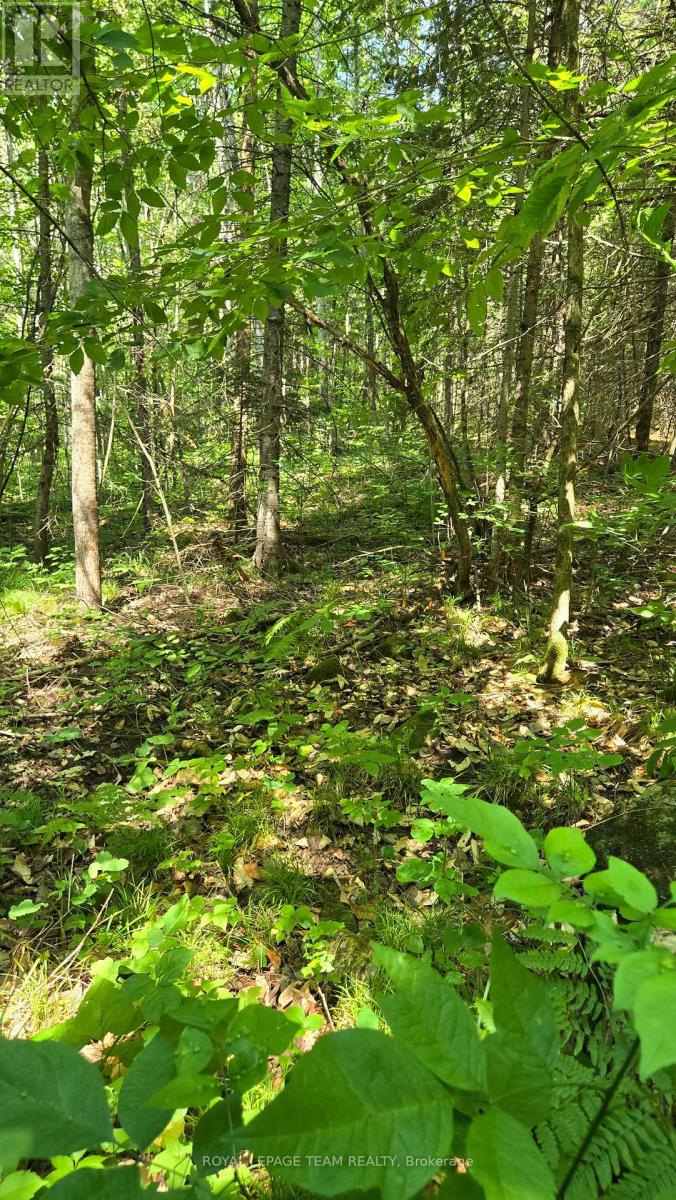 00 Highway 41 Highway, Bonnechere Valley, Ontario  K0J 1T0 - Photo 27 - X12281701