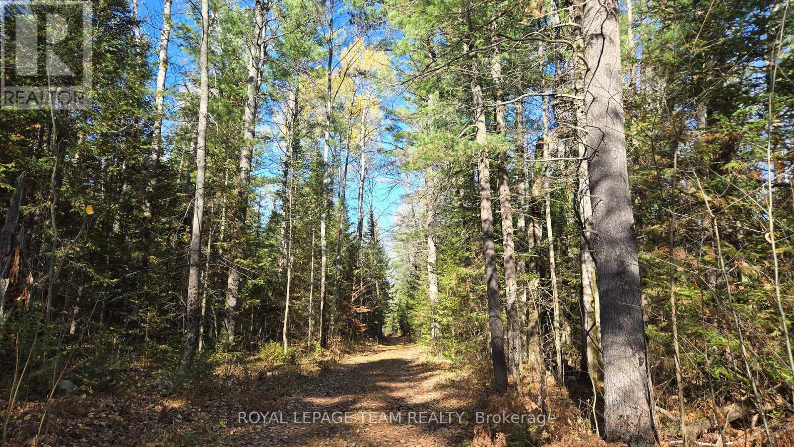 00 Highway 41 Highway, Bonnechere Valley, Ontario  K0J 1T0 - Photo 26 - X12281701