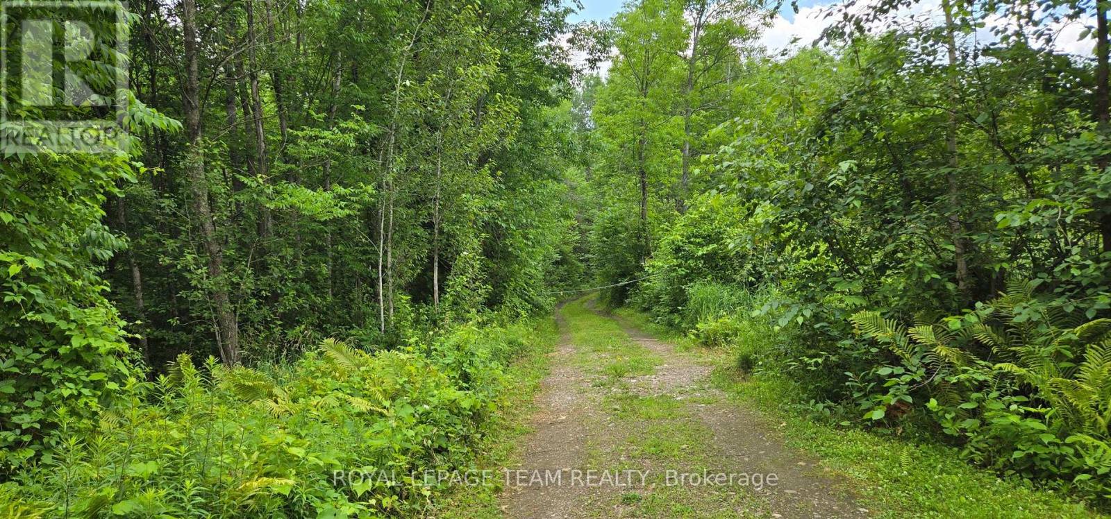 00 Highway 41 Highway, Bonnechere Valley, Ontario  K0J 1T0 - Photo 4 - X12281701