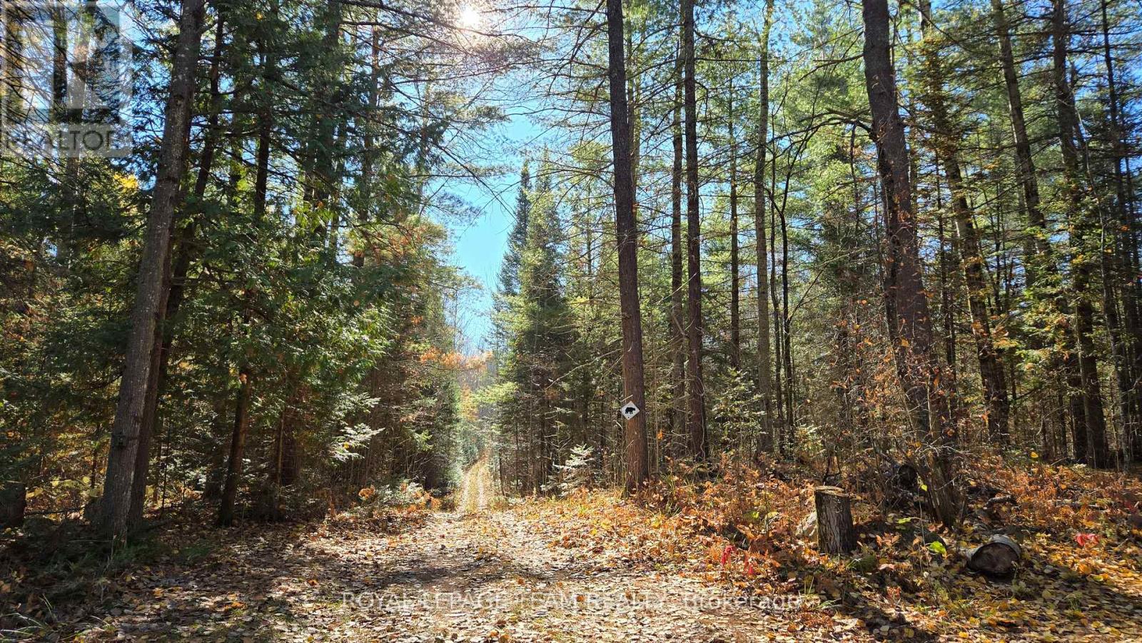 00 Highway 41 Highway, Bonnechere Valley, Ontario  K0J 1T0 - Photo 31 - X12281701