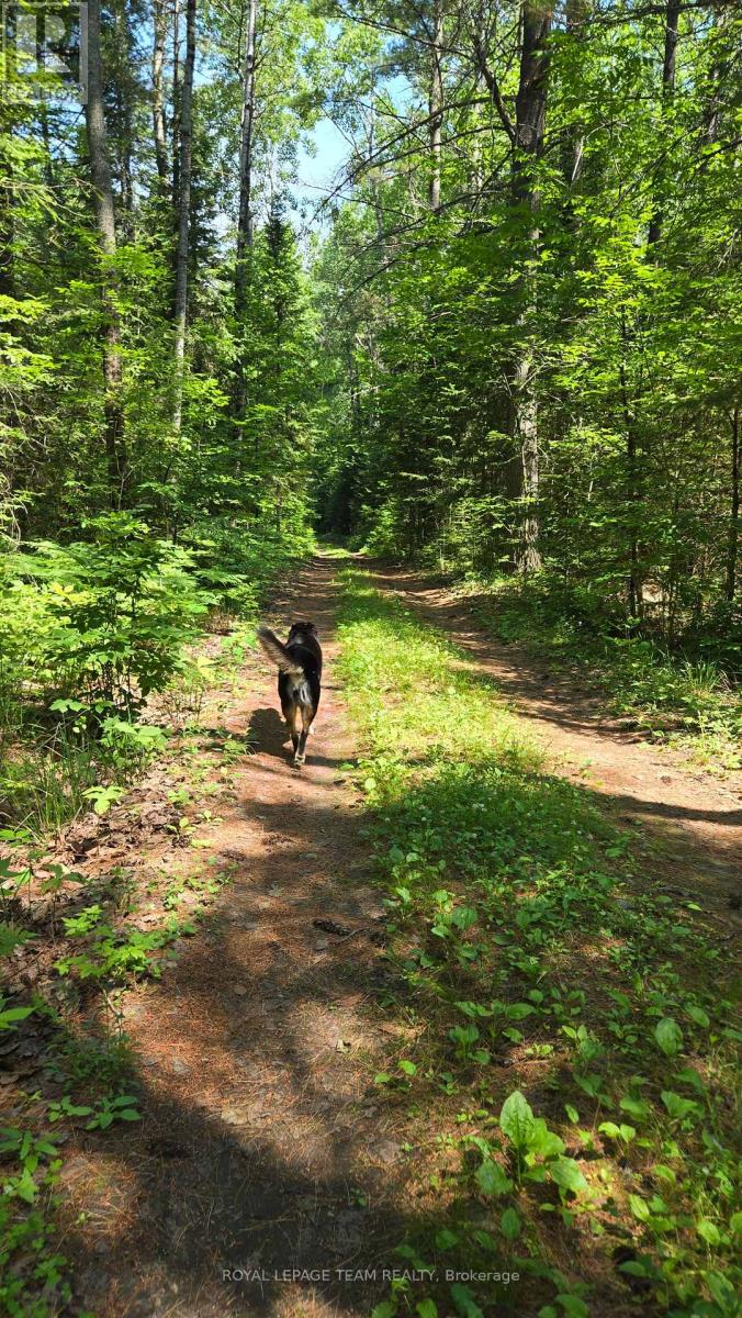 00 Highway 41 Highway, Bonnechere Valley, Ontario  K0J 1T0 - Photo 8 - X12281701