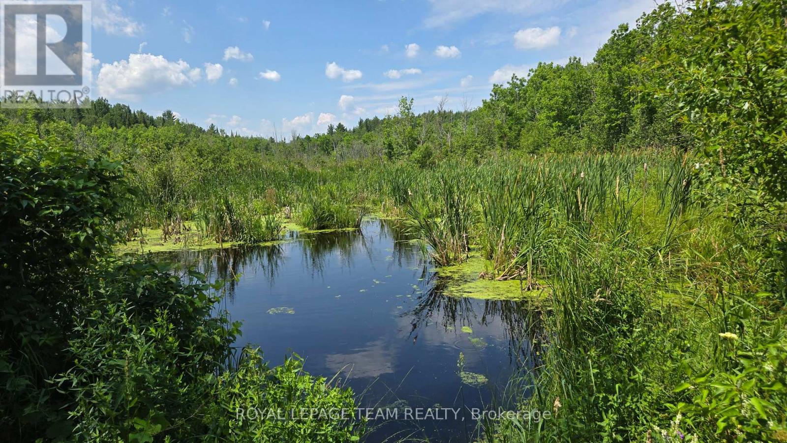 00 Highway 41 Highway, Bonnechere Valley, Ontario  K0J 1T0 - Photo 5 - X12281701