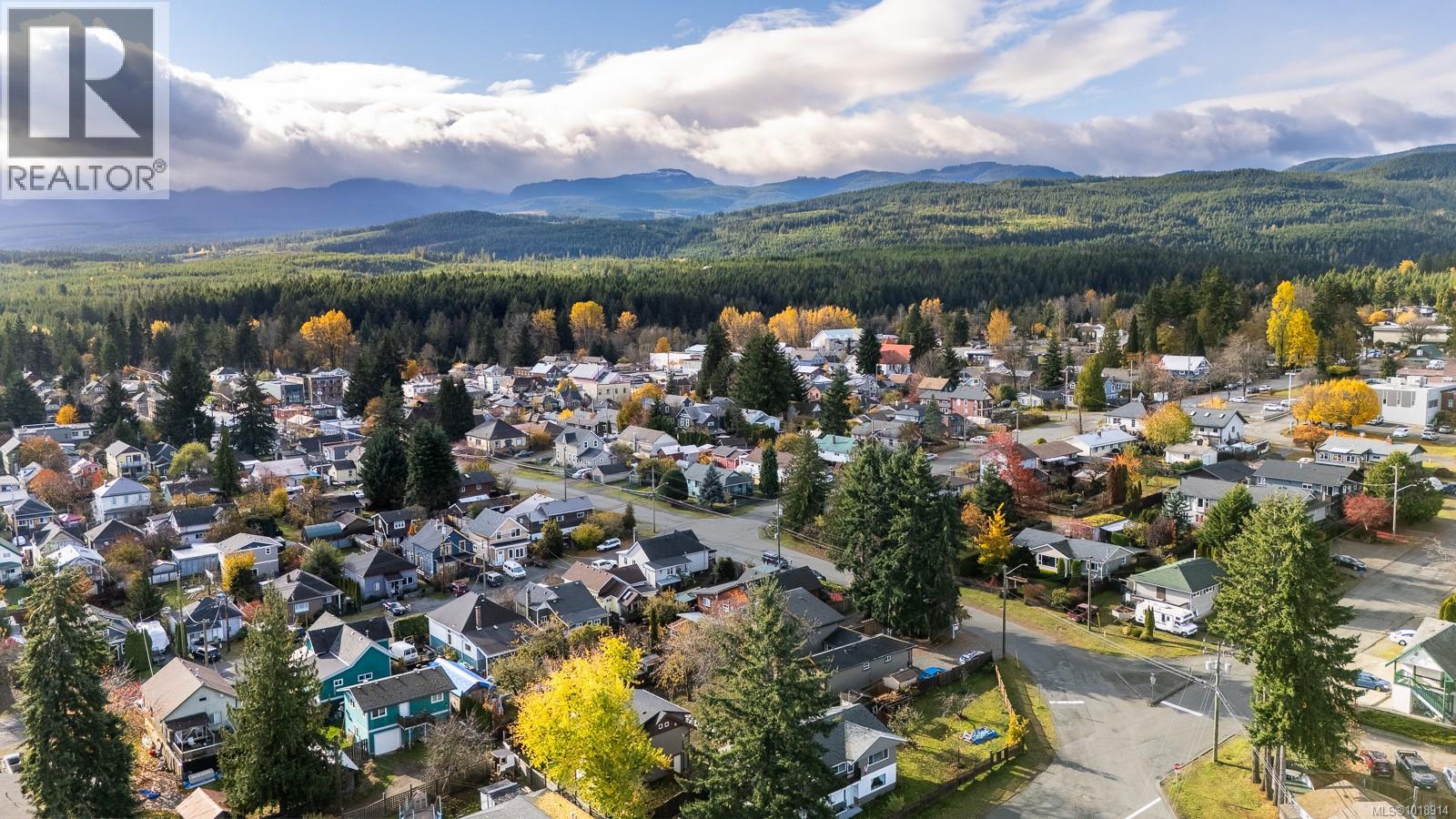 3328 Third St, Cumberland, British Columbia  V0R 1S0 - Photo 55 - 1018914