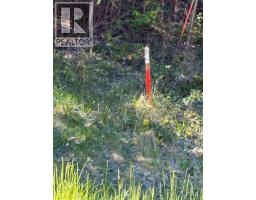 2624 Grandview Place, blind bay, British Columbia