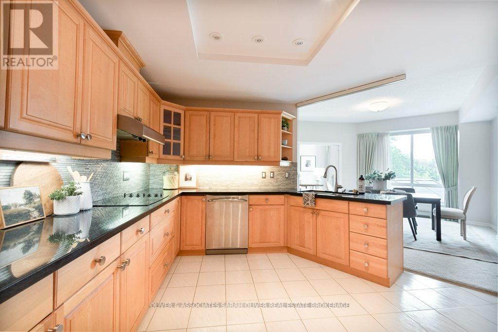 210 - 250 Sydenham Street, London East, Ontario  N6A 5S1 - Photo 8 - X12529620