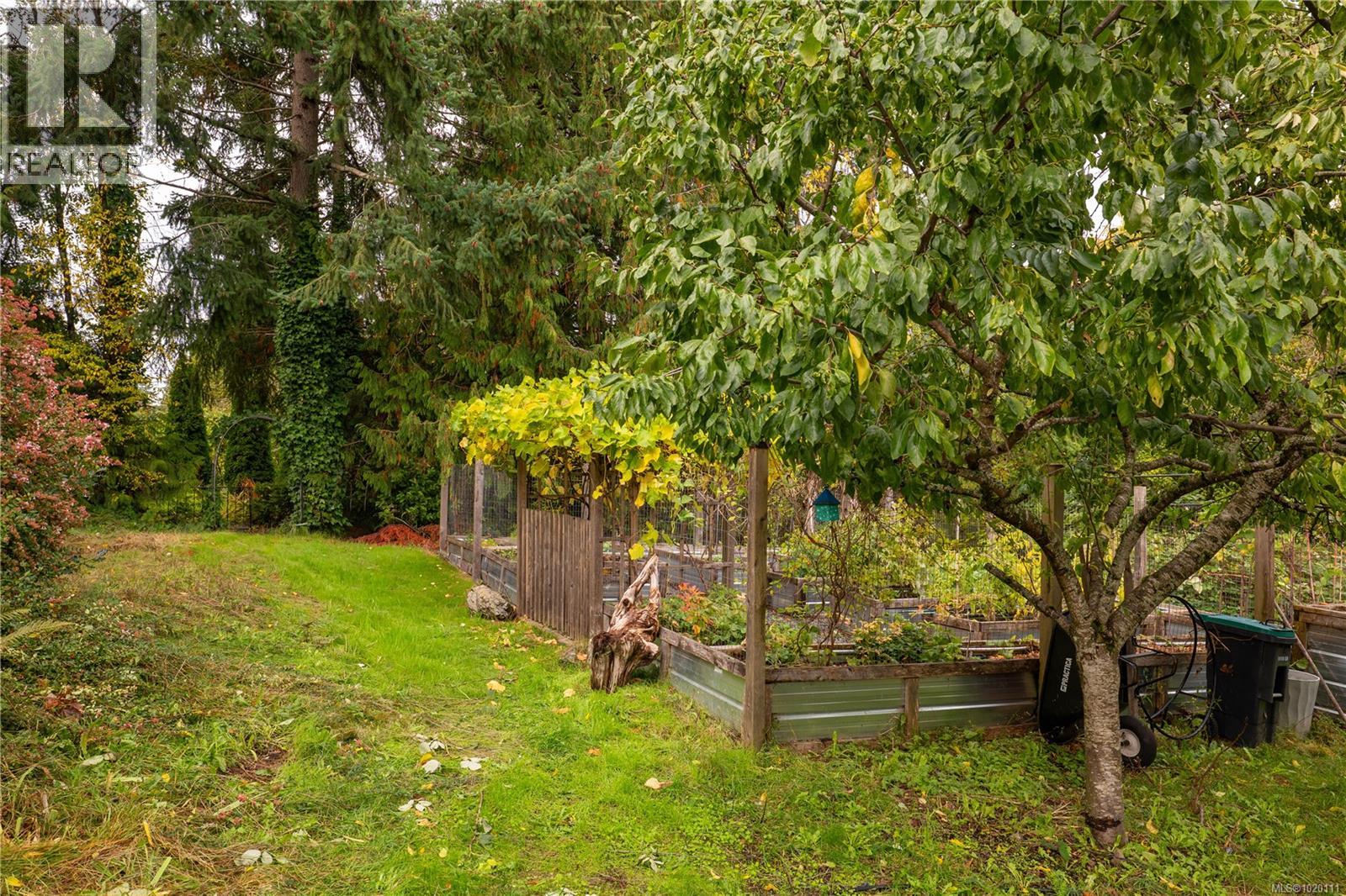 6869 Philip Rd, Lantzville, British Columbia  V0R 2H0 - Photo 6 - 1020111