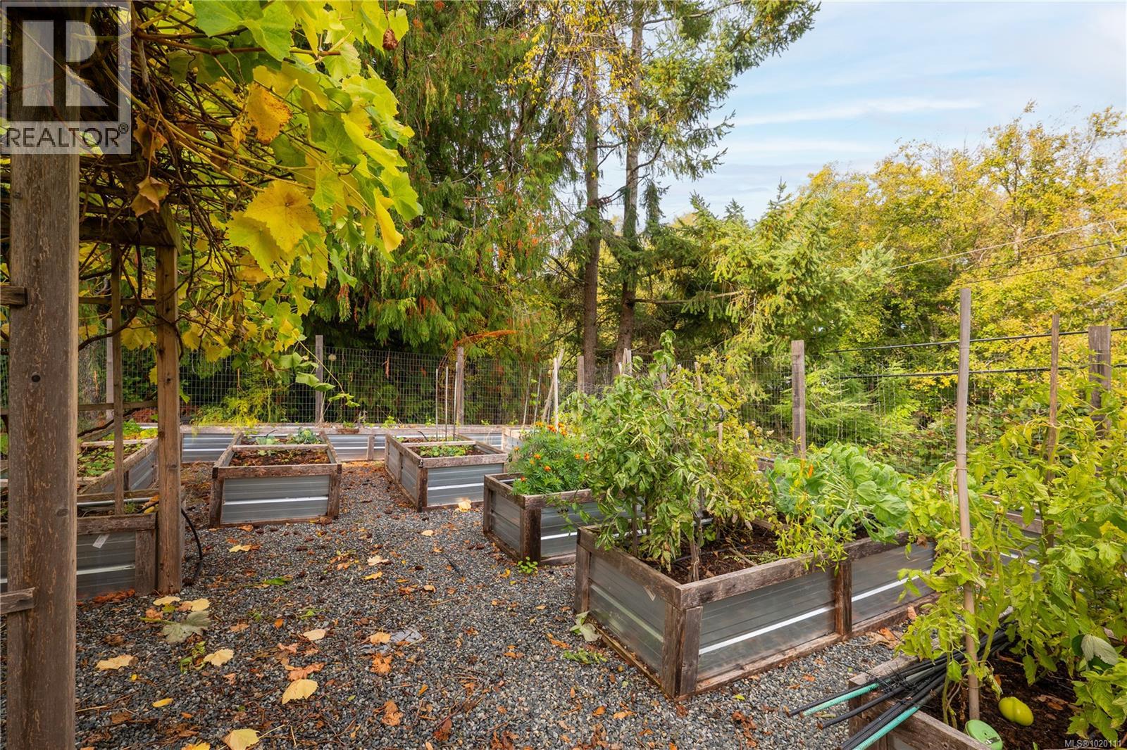 6869 Philip Rd, Lantzville, British Columbia  V0R 2H0 - Photo 7 - 1020111