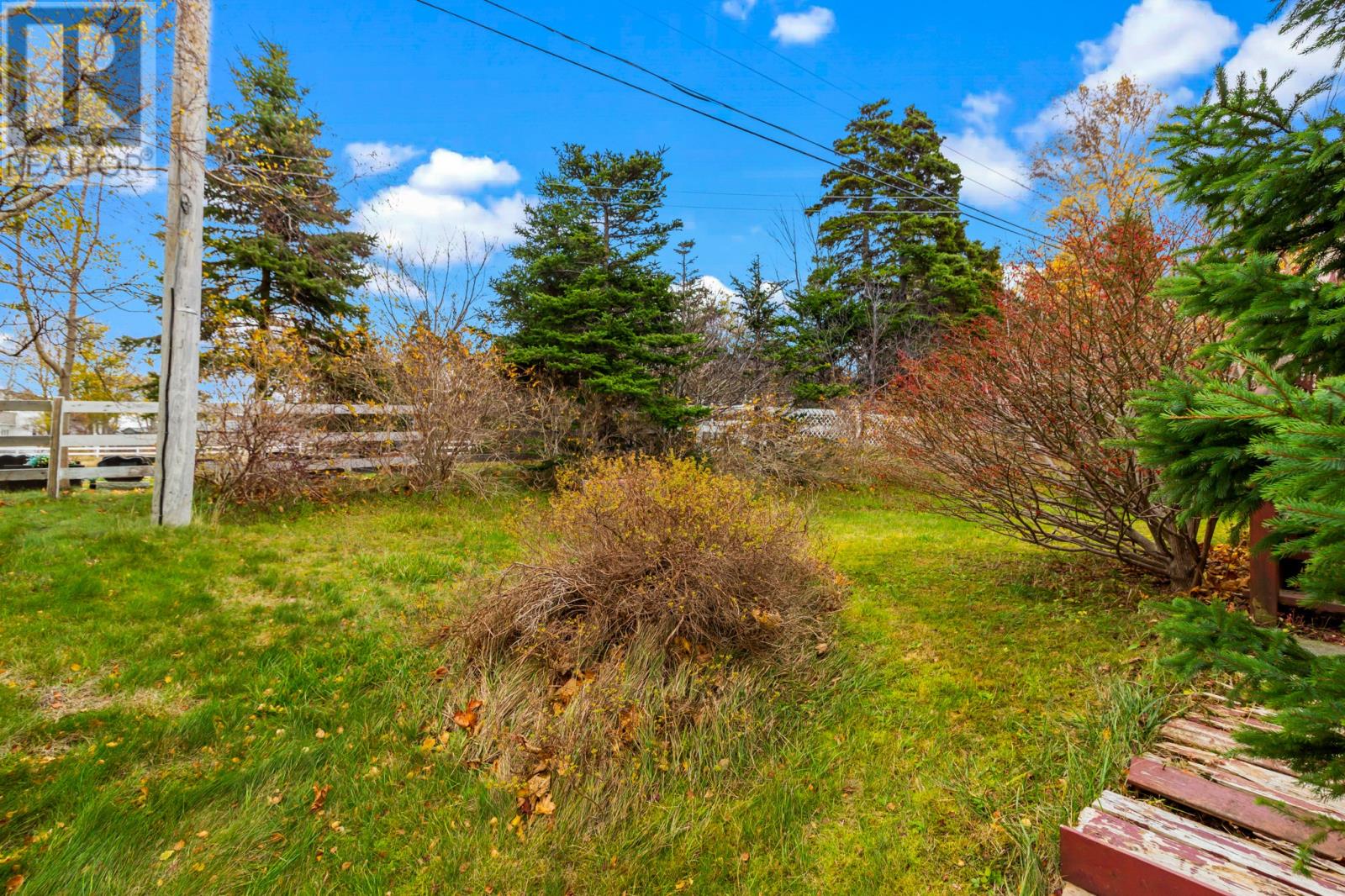 19 Webster Place, Conception Bay South, Newfoundland & Labrador  A1W 5M7 - Photo 26 - 1292489