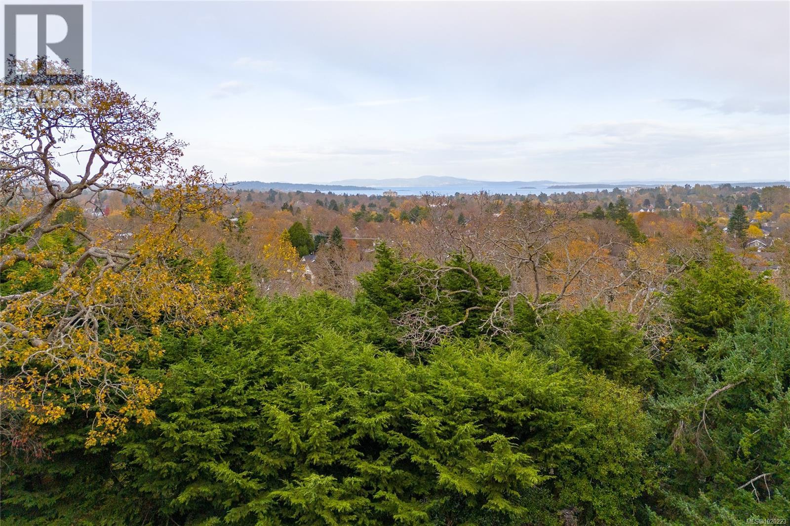 Lot B 24 Sylvan Lane, Oak Bay, British Columbia  V8S 2K8 - Photo 19 - 1020223