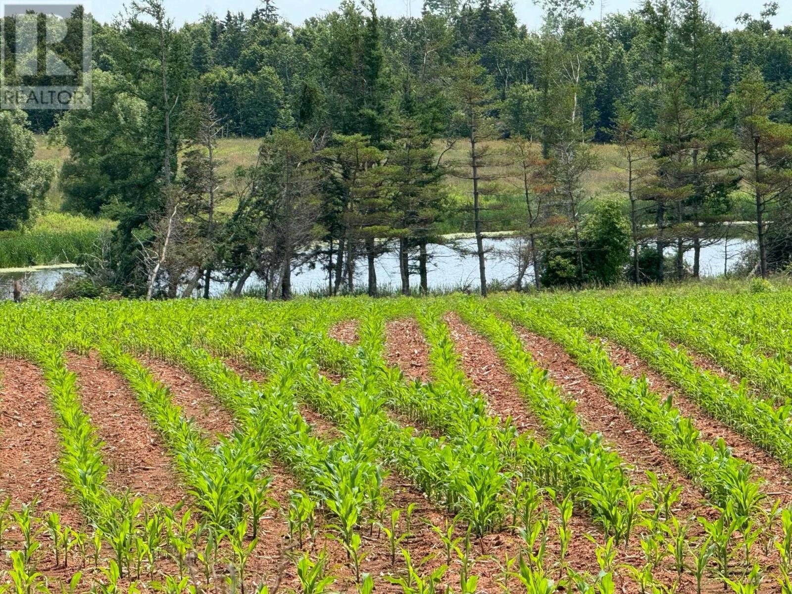 0 Point Prim Road, Belfast, Prince Edward Island  C0A 1A0 - Photo 12 - 202527609