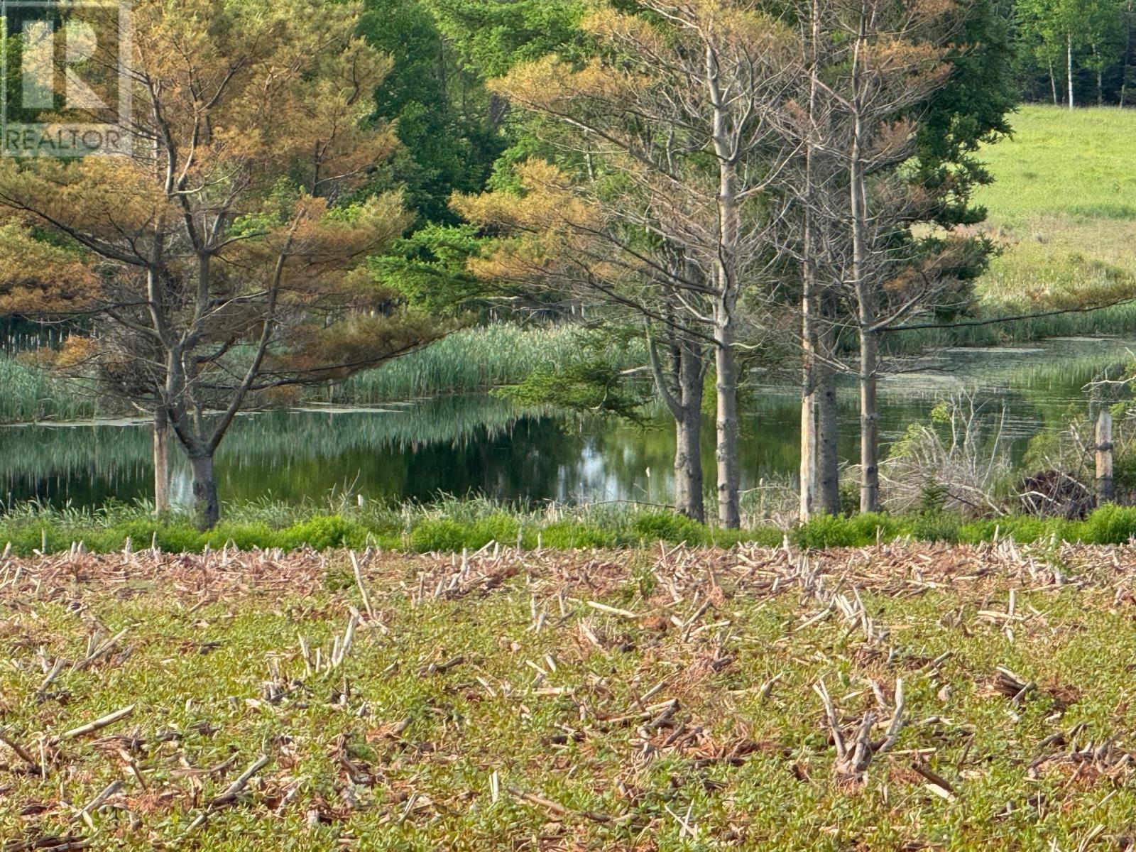 0 Point Prim Road, Belfast, Prince Edward Island  C0A 1A0 - Photo 11 - 202527609