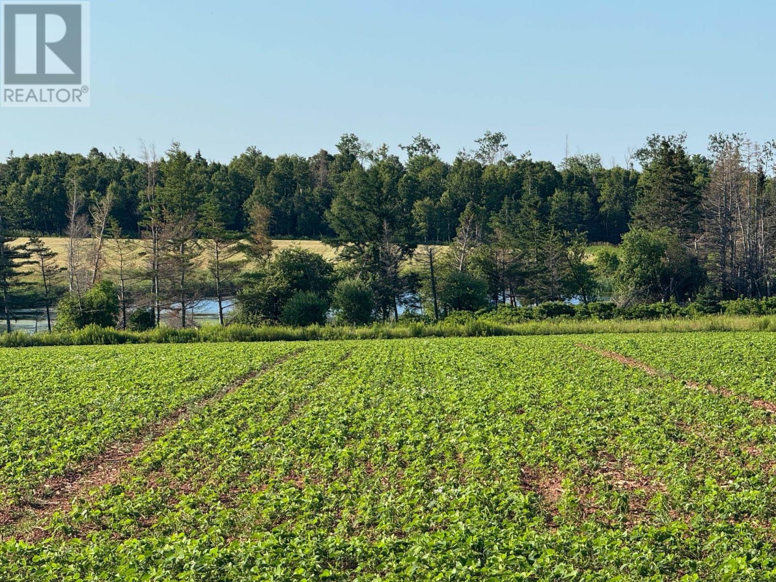 0 Point Prim Road, Belfast, Prince Edward Island  C0A 1A0 - Photo 5 - 202527609