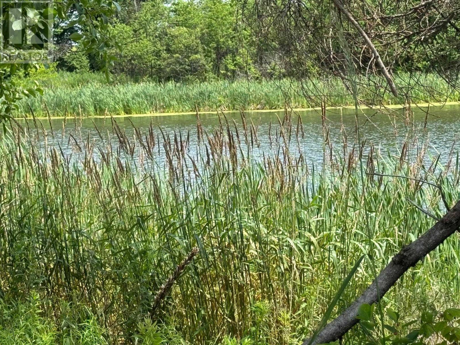 0 Point Prim Road, Belfast, Prince Edward Island  C0A 1A0 - Photo 8 - 202527609