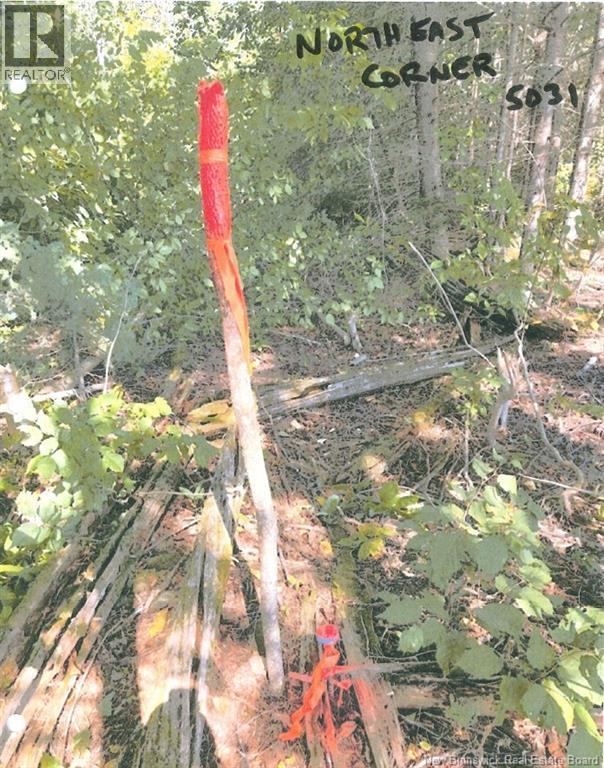 Lot 09-02 Trueman Graham Road, Harvey, New Brunswick  E6K 1B5 - Photo 18 - NB129965