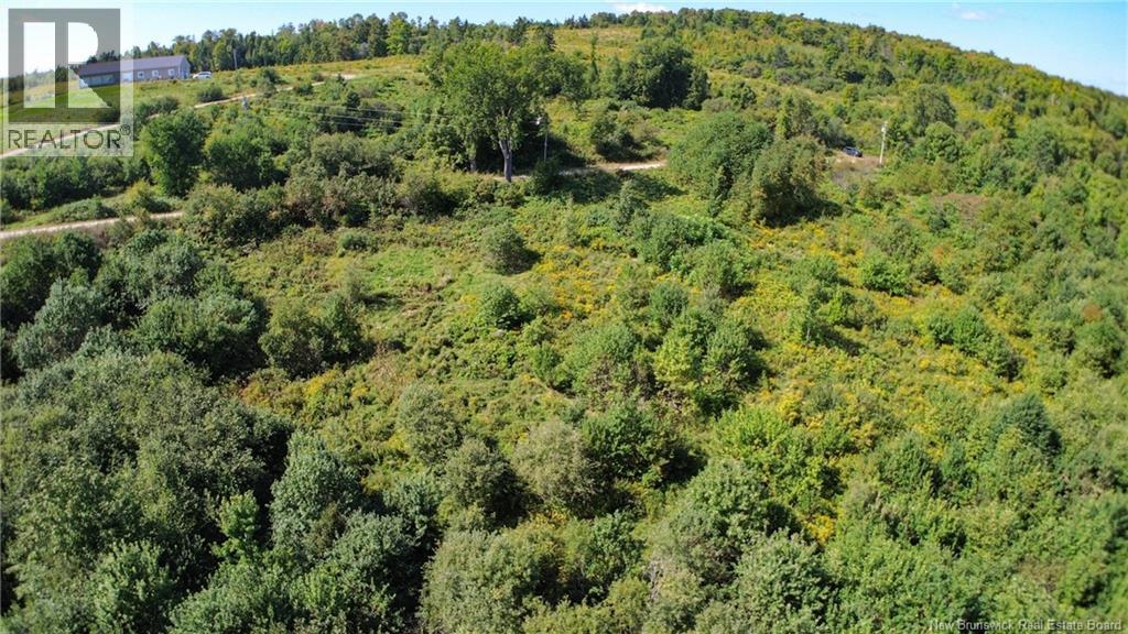 Lot 09-02 Trueman Graham Road, Harvey, New Brunswick  E6K 1B5 - Photo 8 - NB129965
