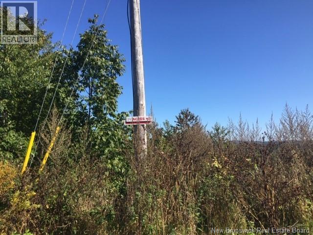 Lot 09-02 Trueman Graham Road, Harvey, New Brunswick  E6K 1B5 - Photo 10 - NB129965