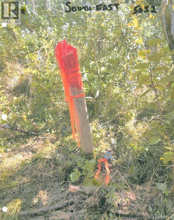 Lot 09-02 Trueman Graham Road, Harvey, New Brunswick  E6K 1B5 - Photo 19 - NB129965