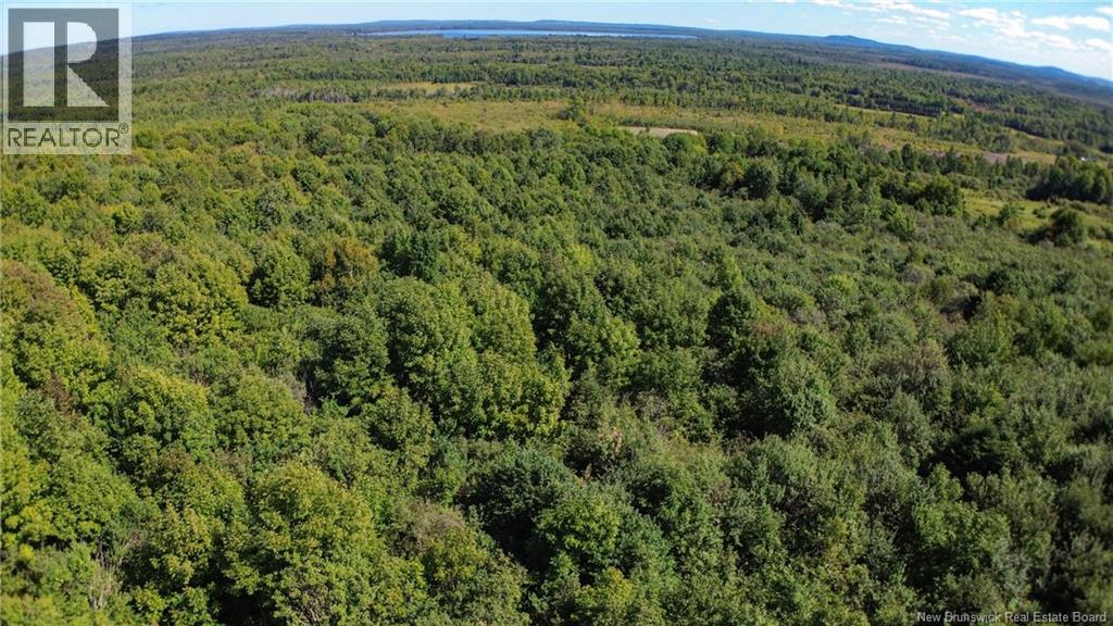 Lot 09-02 Trueman Graham Road, Harvey, New Brunswick  E6K 1B5 - Photo 15 - NB129965