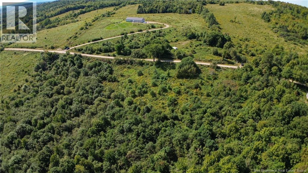 Lot 09-02 Trueman Graham Road, Harvey, New Brunswick  E6K 1B5 - Photo 17 - NB129965