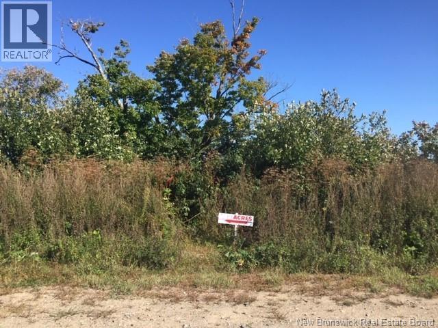 Lot 09-02 Trueman Graham Road, Harvey, New Brunswick  E6K 1B5 - Photo 9 - NB129965