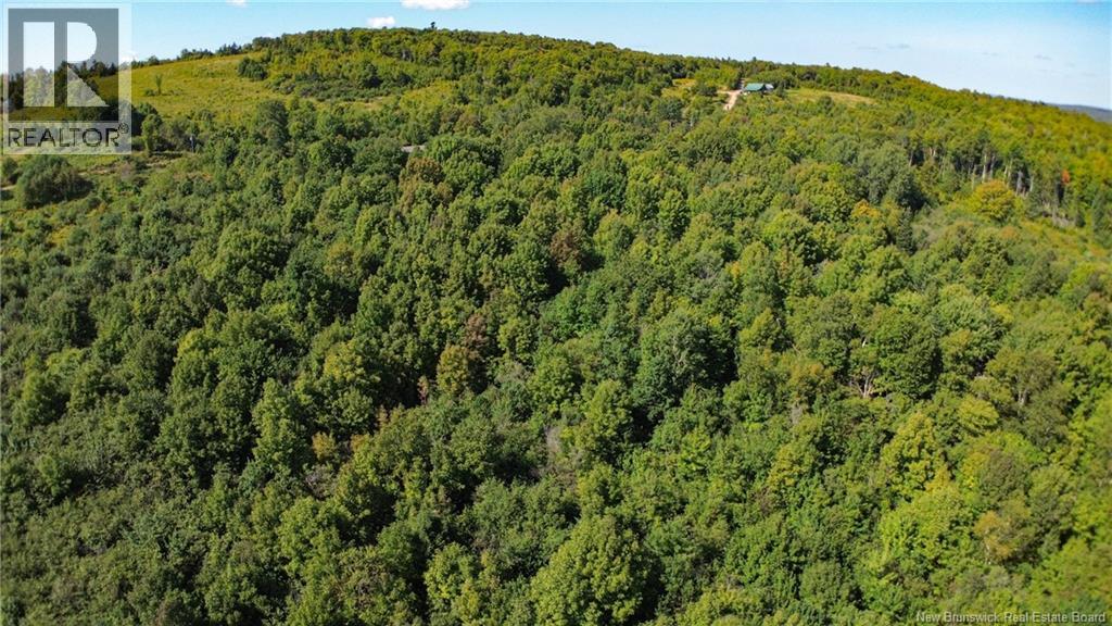 Lot 09-02 Trueman Graham Road, Harvey, New Brunswick  E6K 1B5 - Photo 16 - NB129965