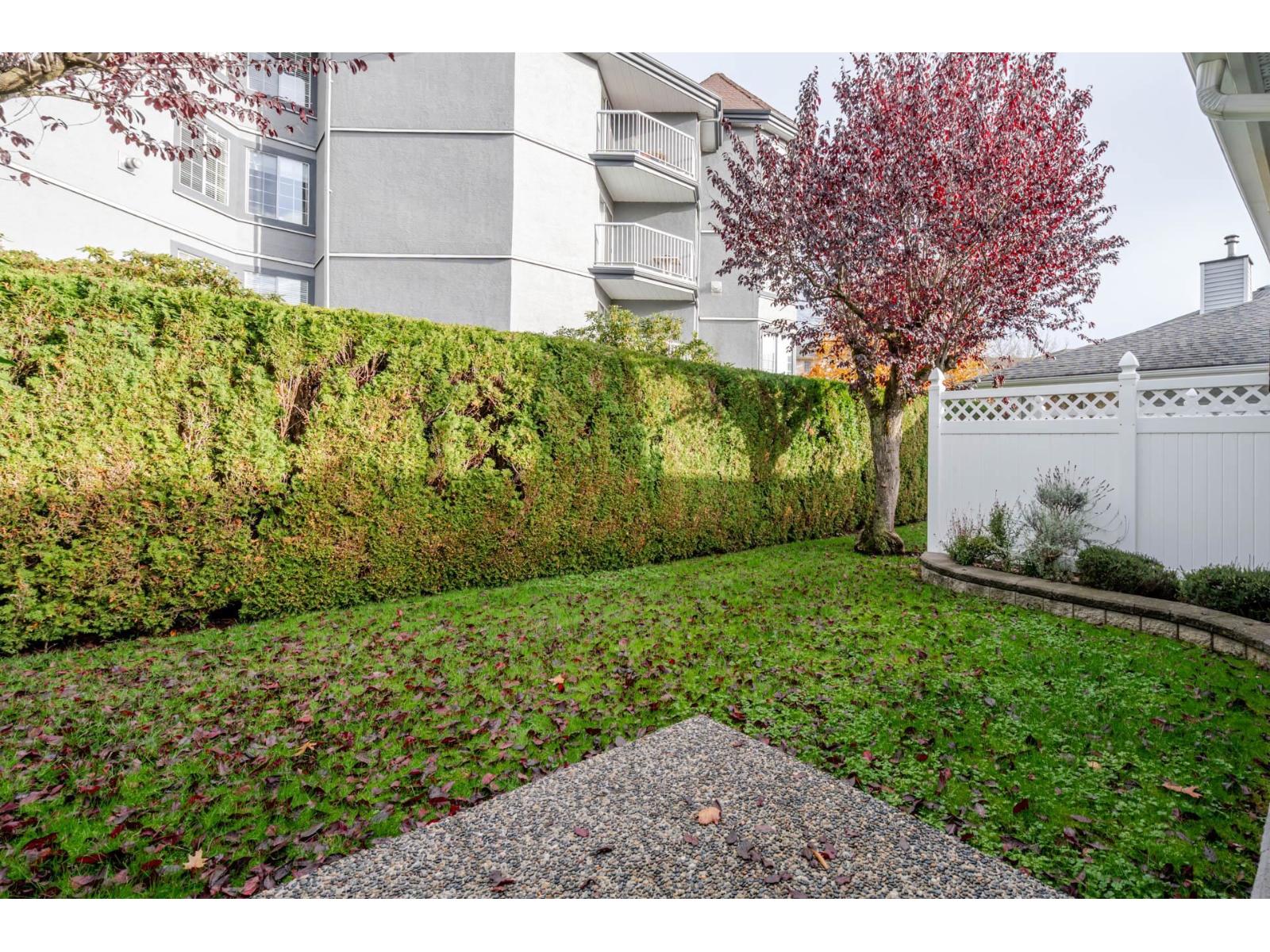 15 5365 205 Street, Langley, British Columbia  V3A 7V7 - Photo 32 - R3065534