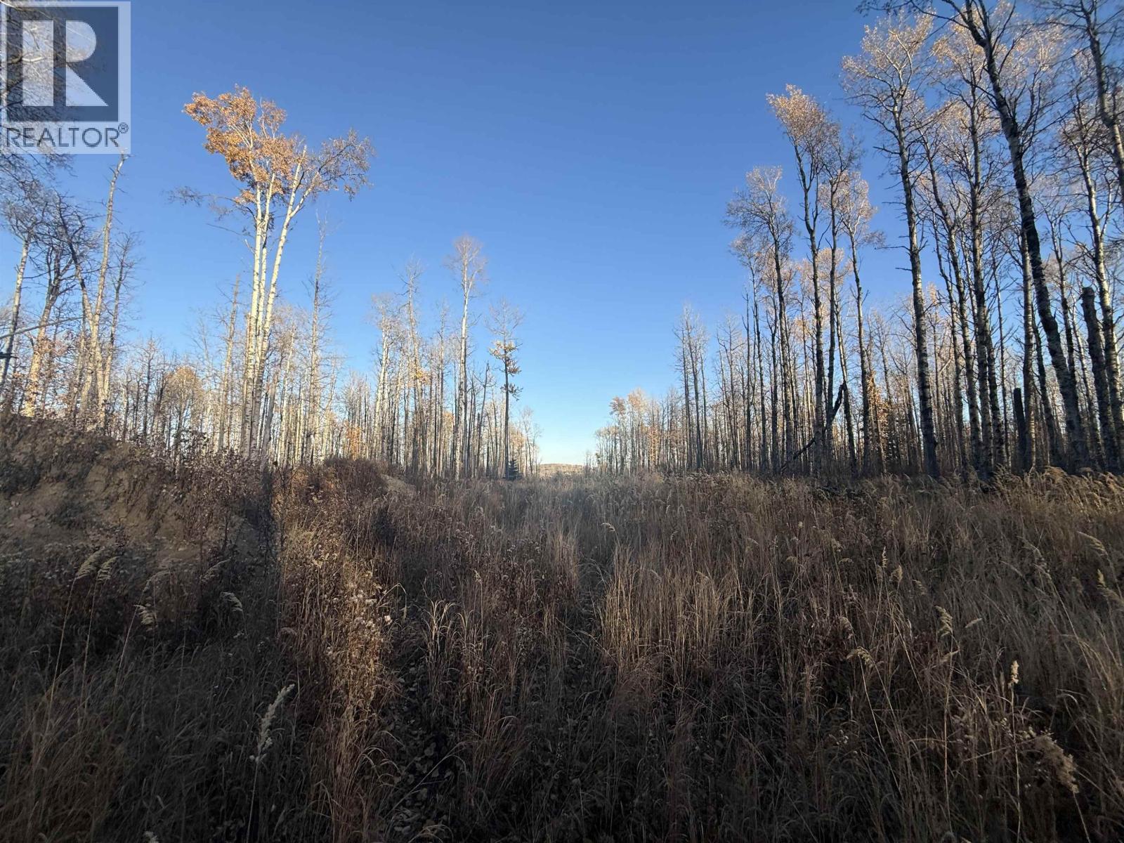 279 ROAD, Charlie Lake, British Columbia