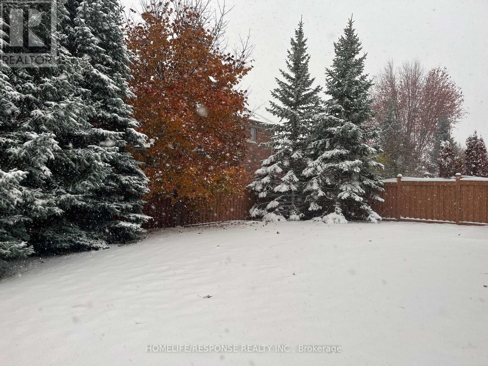 Upper Level - 2 Mcnutt Street, Brampton, Ontario  L6Y 5L3 - Photo 4 - W12529622