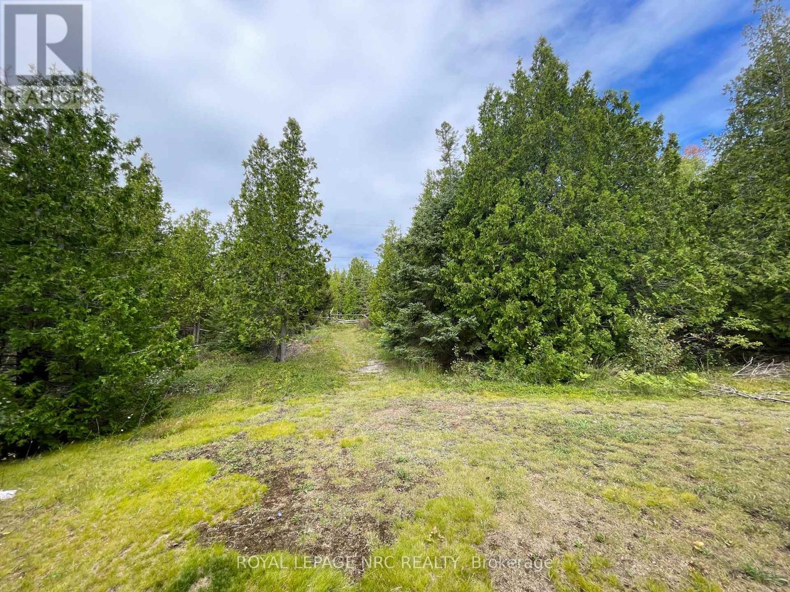 25 Simpson Avenue, Northern Bruce Peninsula, Ontario  N0H 2R0 - Photo 10 - X12529768