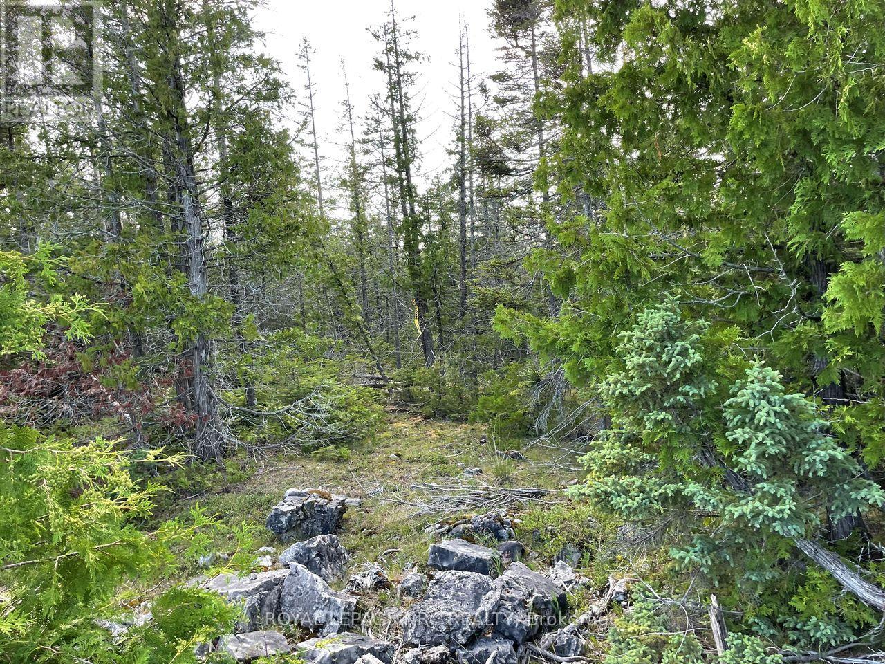 25 Simpson Avenue, Northern Bruce Peninsula, Ontario  N0H 2R0 - Photo 7 - X12529768