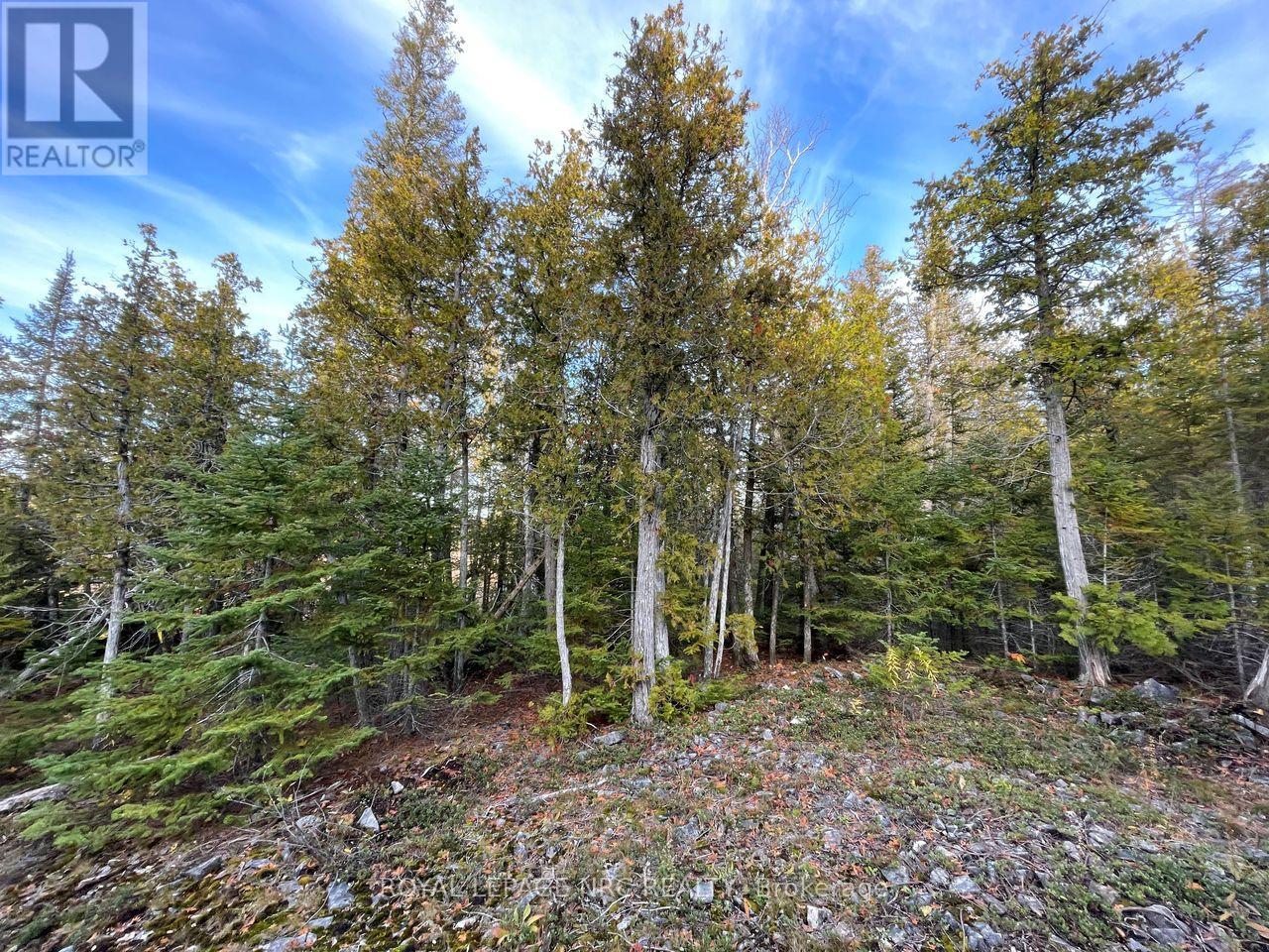 25 Simpson Avenue, Northern Bruce Peninsula, Ontario  N0H 2R0 - Photo 8 - X12529768