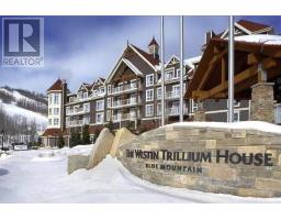 304 - 220 GORD CANNING DR DRIVE, Blue Mountains, Ontario