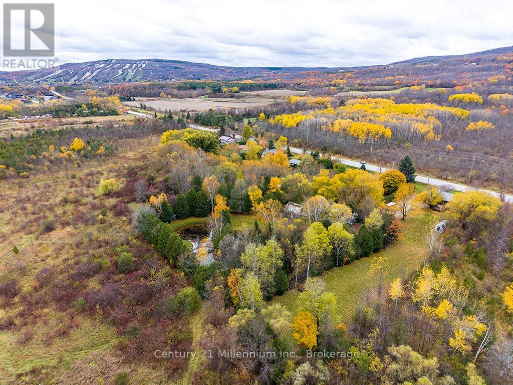 795835 Grey 19 Road, Collingwood, Ontario  L9Y 3Y9 - Photo 29 - S12529878