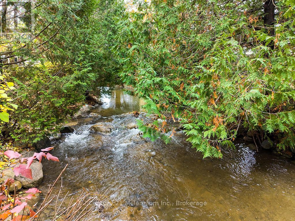 795835 Grey 19 Road, Collingwood, Ontario  L9Y 3Y9 - Photo 6 - S12529878