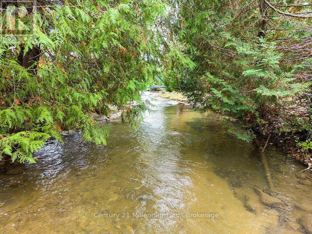 795835 Grey 19 Road, Collingwood, Ontario  L9Y 3Y9 - Photo 7 - S12529878