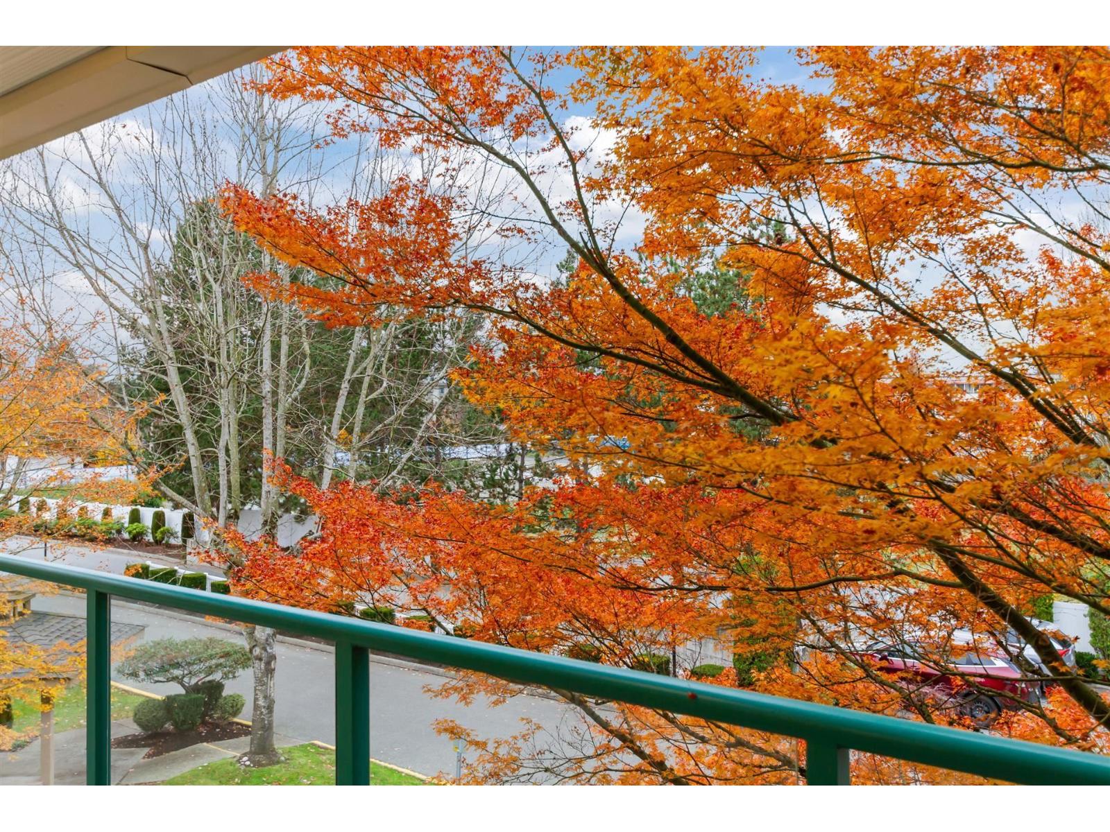 310 20443 53rd Avenue, Langley, British Columbia  V3A 7A6 - Photo 20 - R3065379