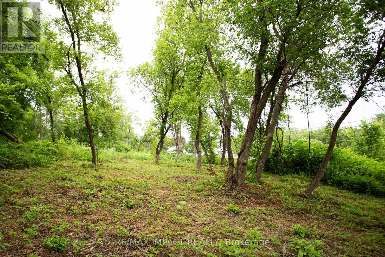 16216 Hwy 2, Pt 3 & Pt 4, Quinte West, Ontario K0K 1H0 - Photo 10 - X12529934