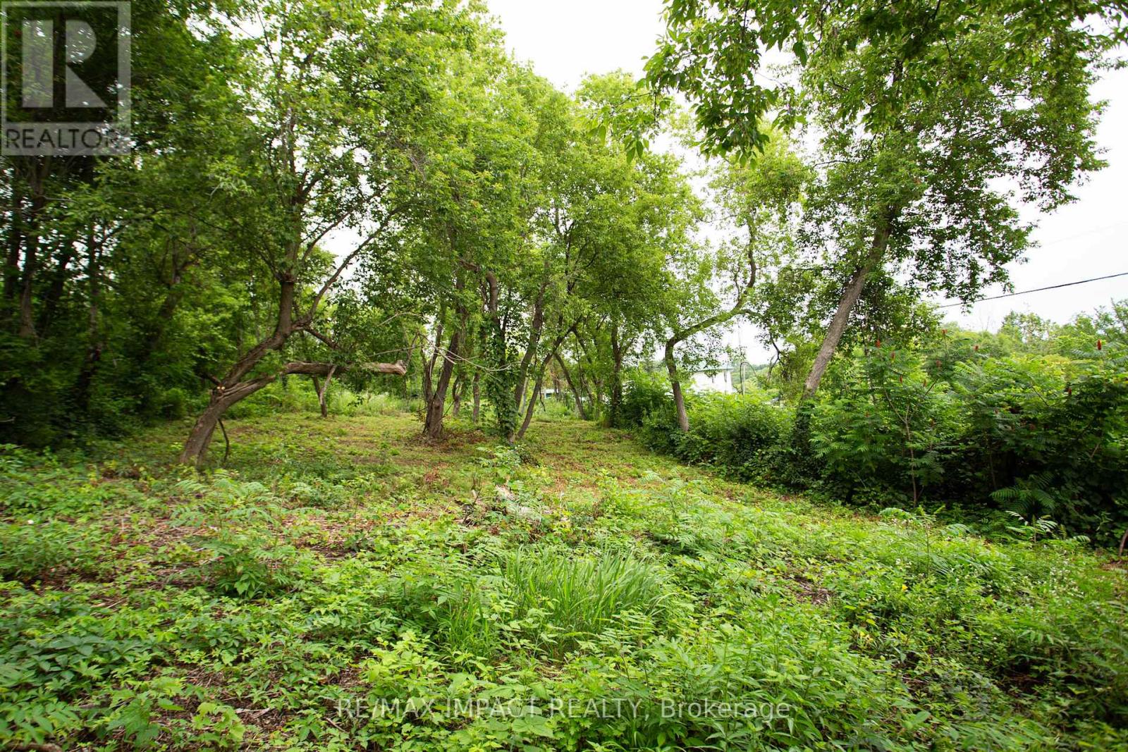 16216 Hwy 2, Pt 3 & Pt 4, Quinte West, Ontario K0K 1H0 - Photo 3 - X12529934