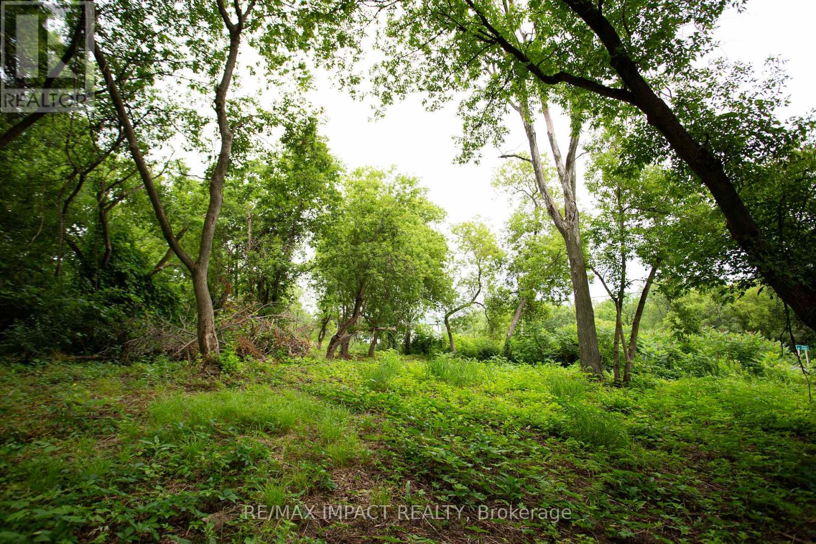 16216 Hwy 2, Pt 3 & Pt 4, Quinte West, Ontario K0K 1H0 - Photo 4 - X12529934