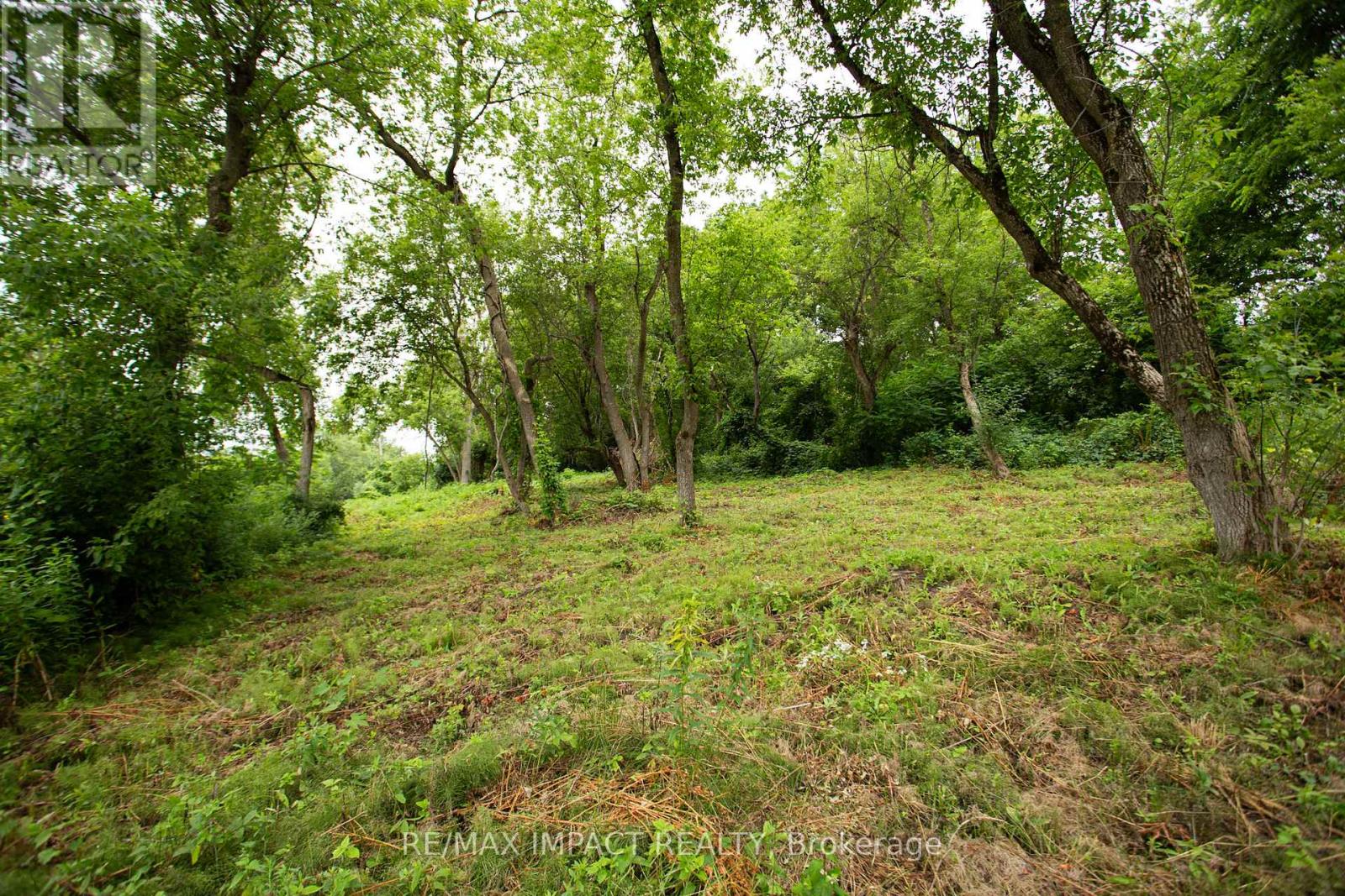 16216 Hwy 2, Pt 3 & Pt 4, Quinte West, Ontario K0K 1H0 - Photo 7 - X12529934